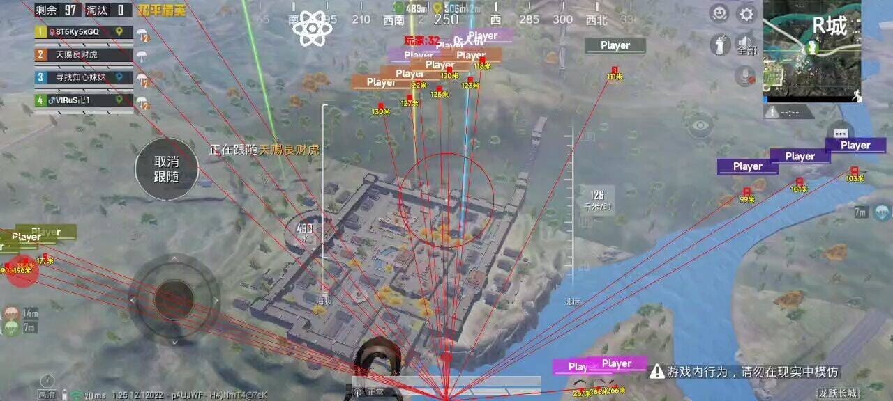 和平精英小猪熊辅助